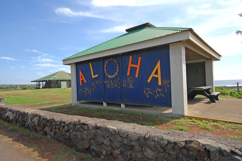 Elections Commission Wants State Auditor To Examine Hawaiʻi’s 2024 Vote