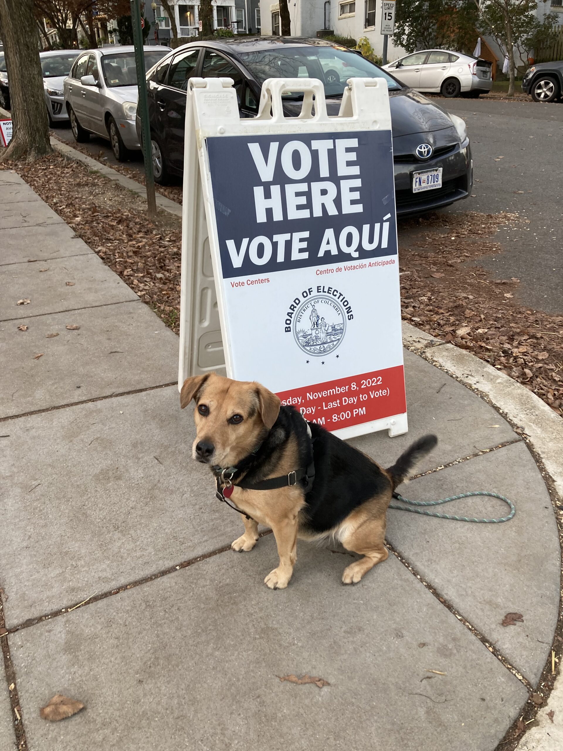 Bomb threats sully otherwise uneventful voting across the country on Election Day